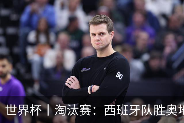 世界杯丨淘汰赛：西班牙队胜奥地利队
